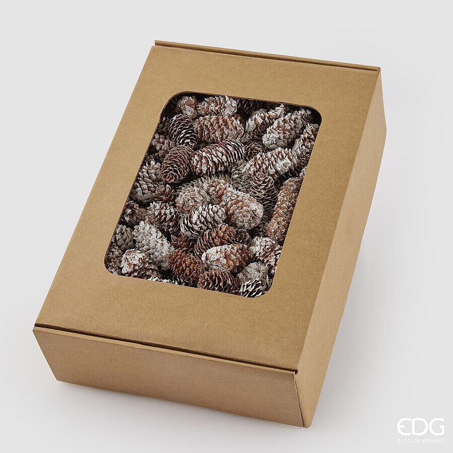 Set of decorative cones Pigna Picea