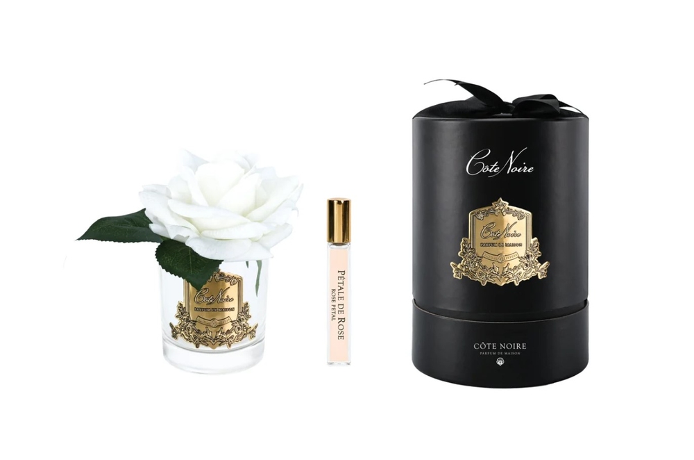 Parfumed French rose in transparent vase