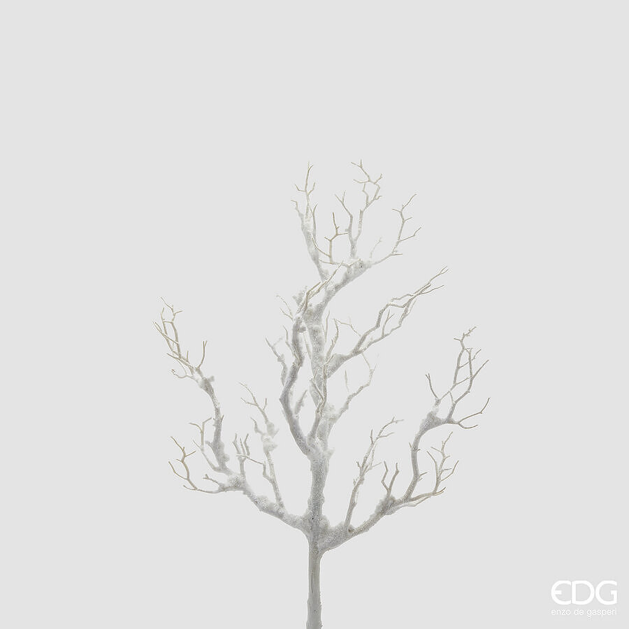 Ramură decorativă Acacia Innevato H58
