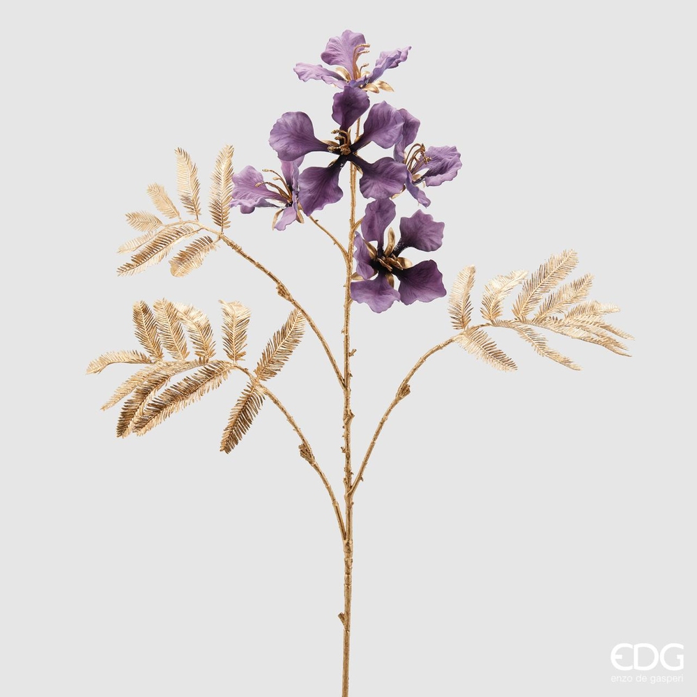 Decorative flower Delonix Royal