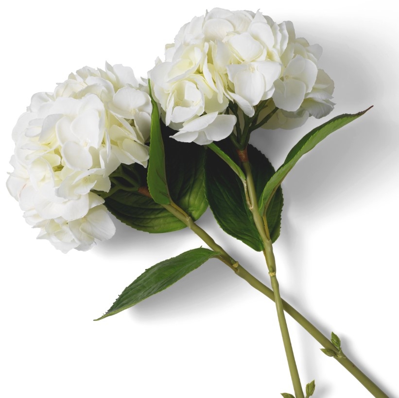 Hortenzii Real-Touch