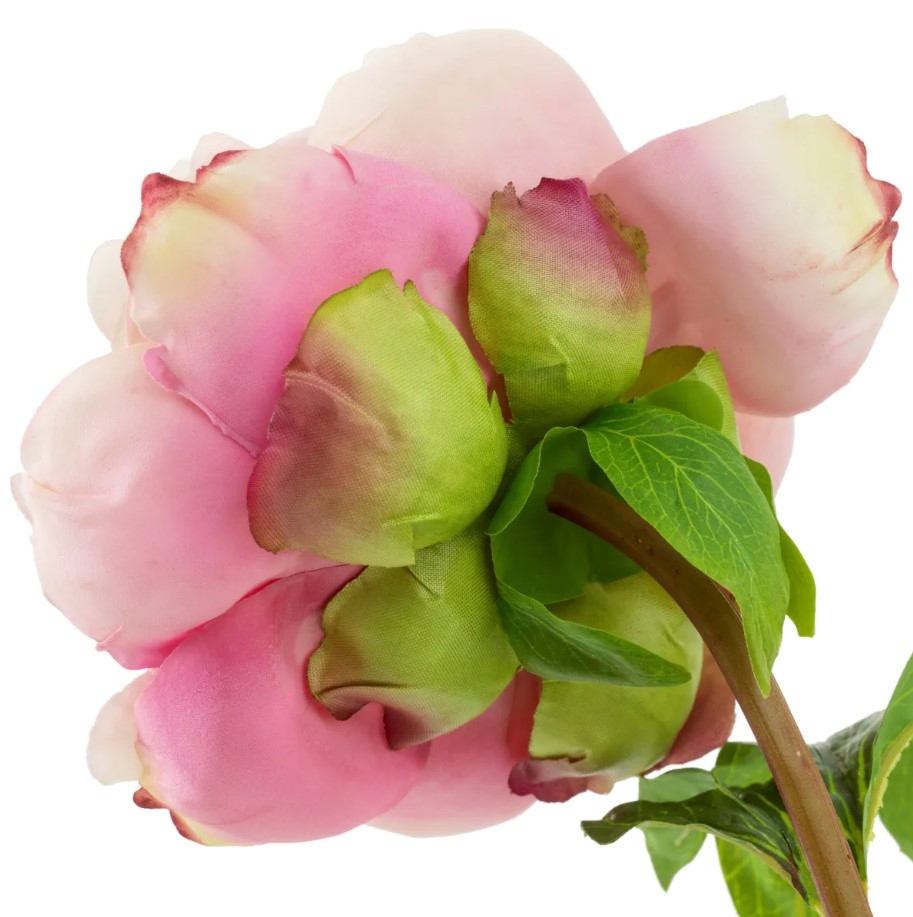 Peony Real-Touch Pink