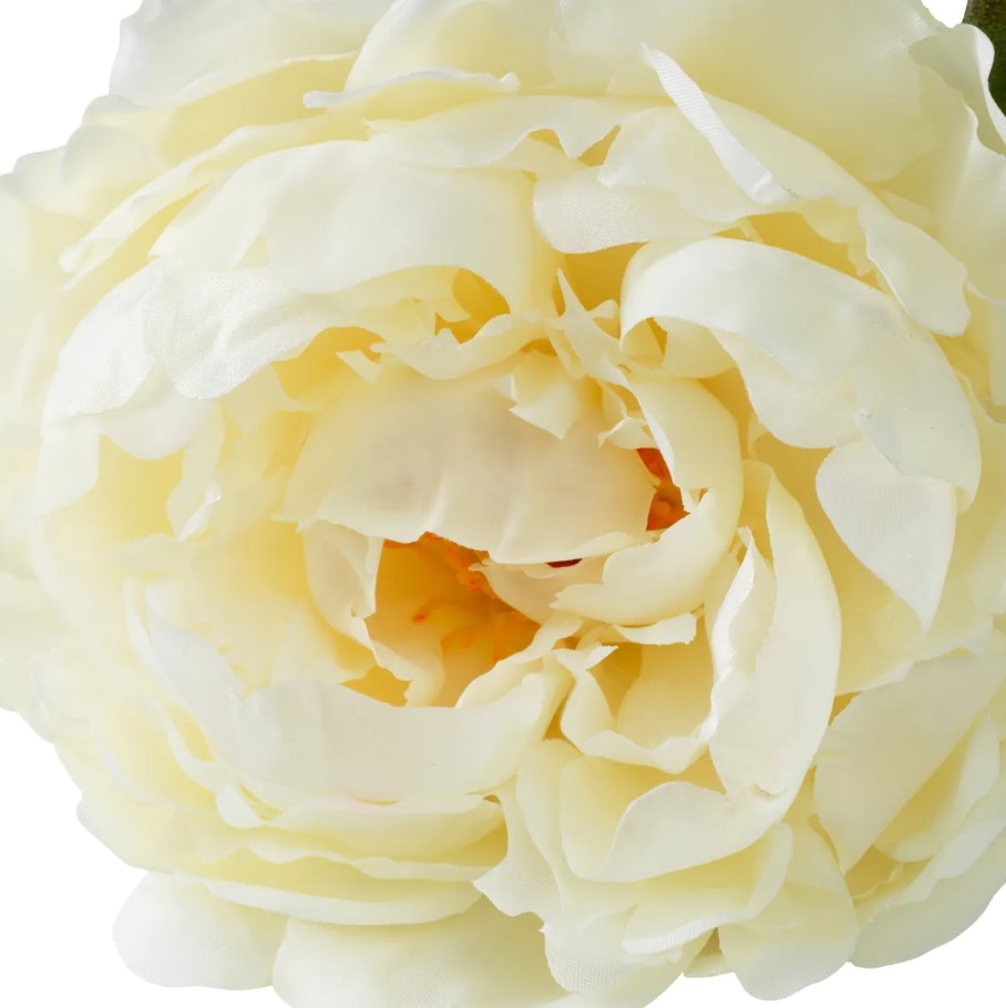 Peony Real-Touch White