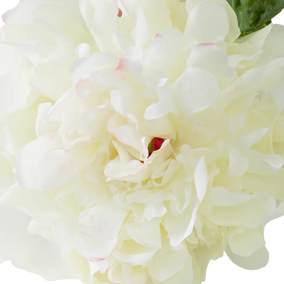 Peony Real-Touch White