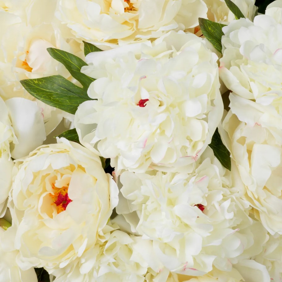 Peony Real-Touch White