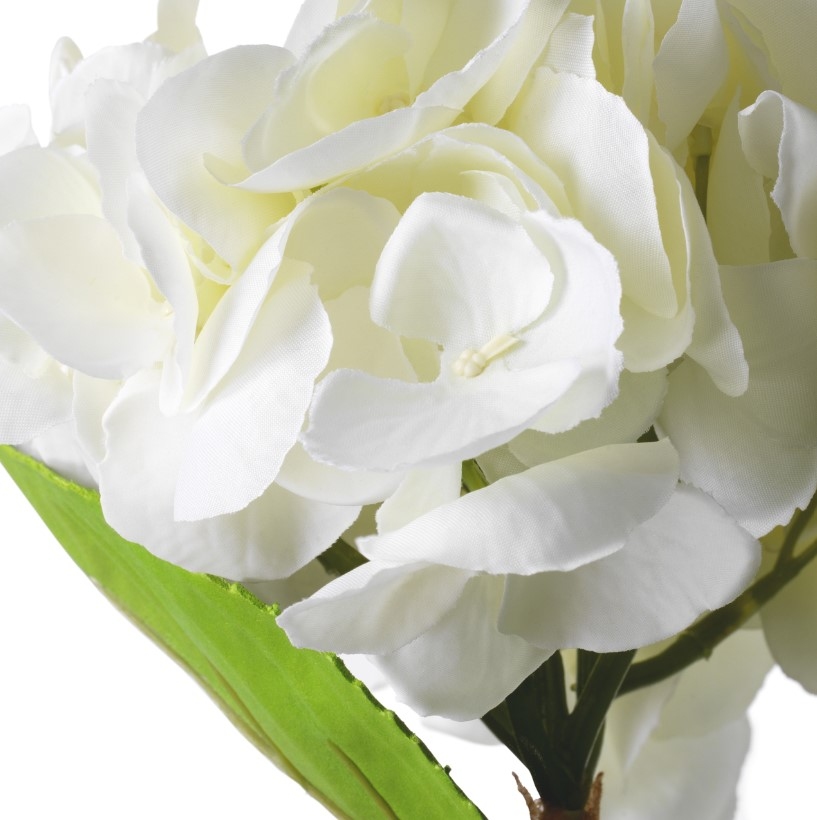 Hortenzii Real-Touch