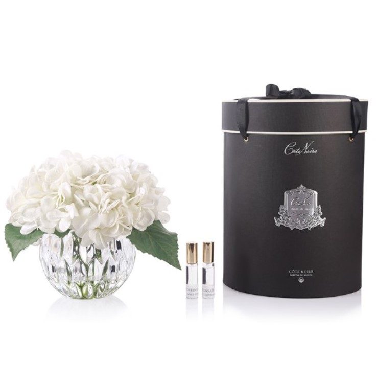 Perfumed bouquet of hydrangeas in transparent vase White