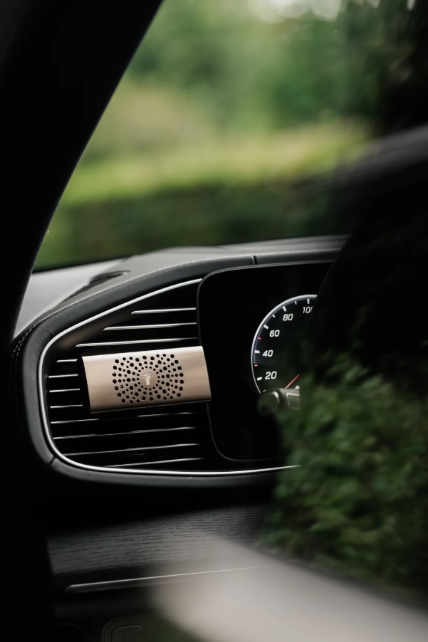  Car diffuser Pearls White