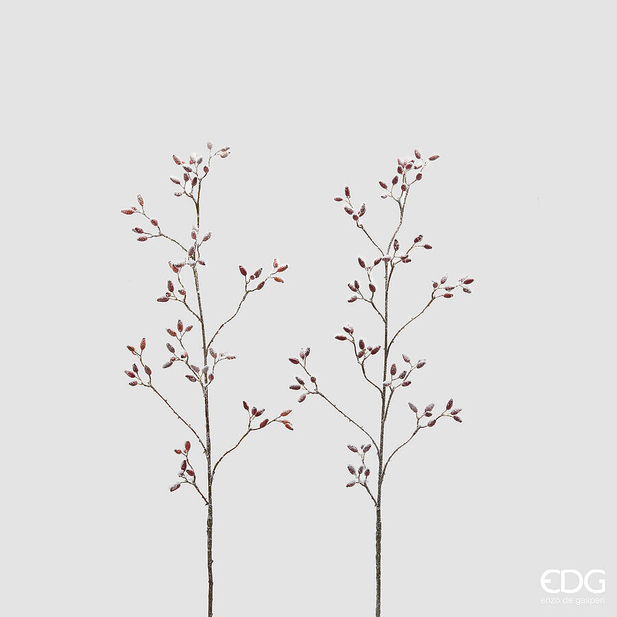 Decorative branch Rosa Canina H115