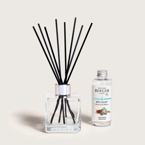 Diffuser Glacon Festive Fir
