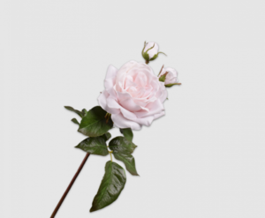 Rose Spray Lt