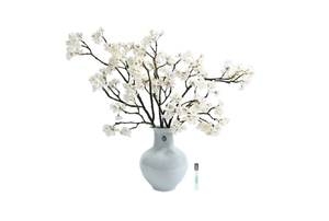 Copac parfumat Cherry Blossom