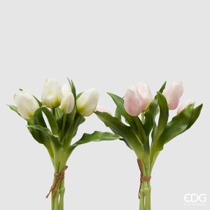 Buchet de 5 lalele Olis White Pink