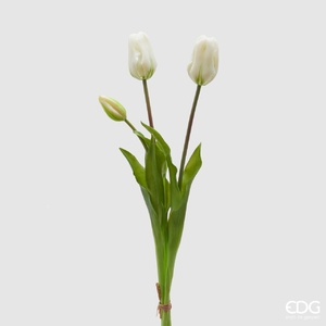 Buchet de 3 lalele Olis White