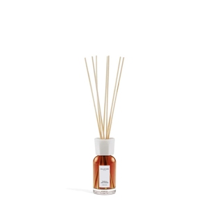 Diffuser Vanilla & Wood, 100 ml