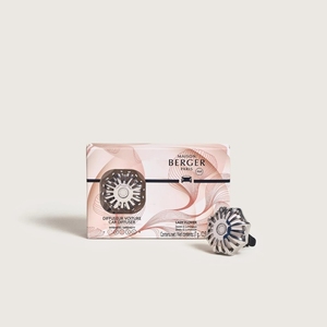 Диффузор для автомобиля Corali