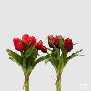 Bouquet of 5 Tulips Olis Red
