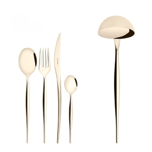 Natura Champagne Set de 49 tacâmuri în cutie de lemn