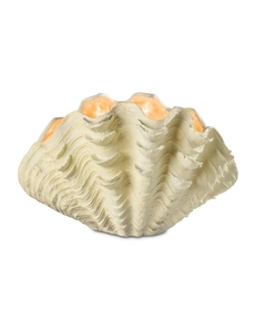 Настольная лампа Tridacna