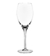 Degustazione Set of 2 Champagne Glasses for Tasting 